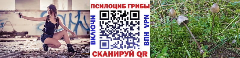 Псилоцибиновые грибы MAGIC MUSHROOMS Суоярви